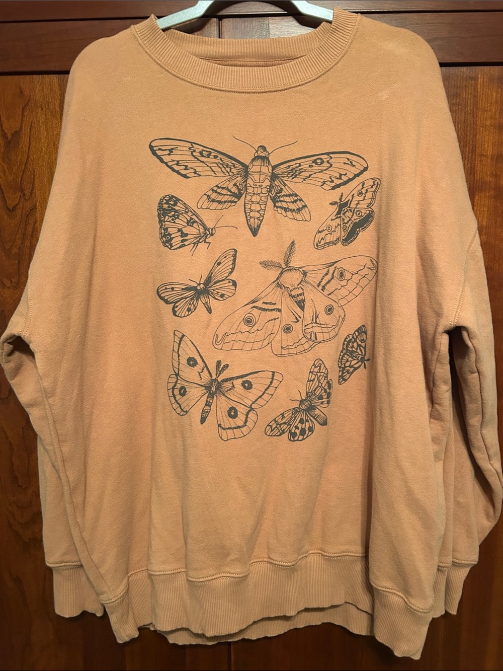 American Eagle Outfitters Crewneck Sweatshirt with Butterfly Graphic